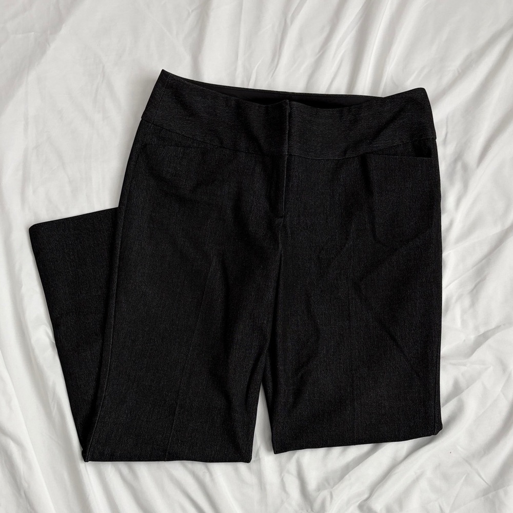 Express Design Studio Editor Pants